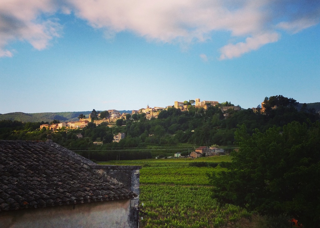 Ménerbes et ses champs de vignes menerbes4