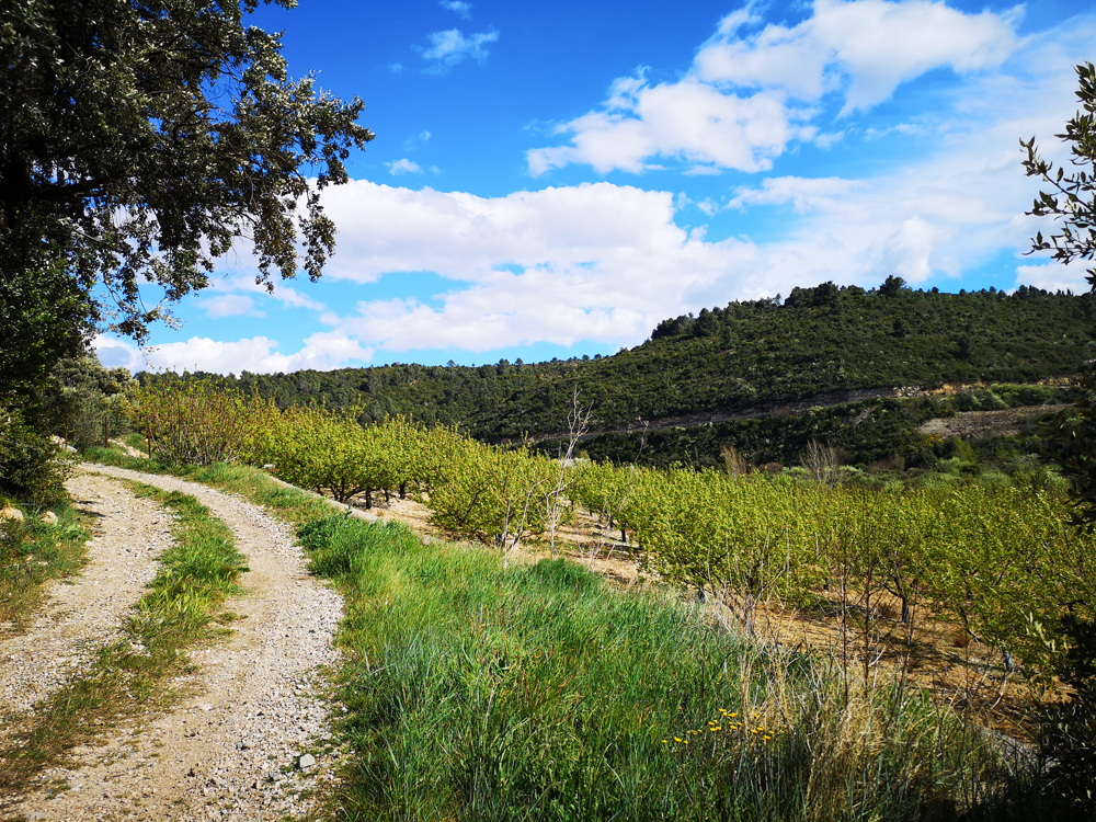 chemin