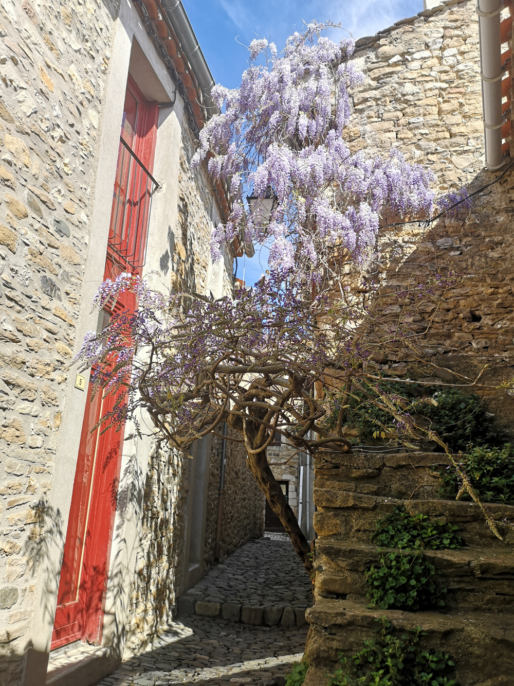 ruelles