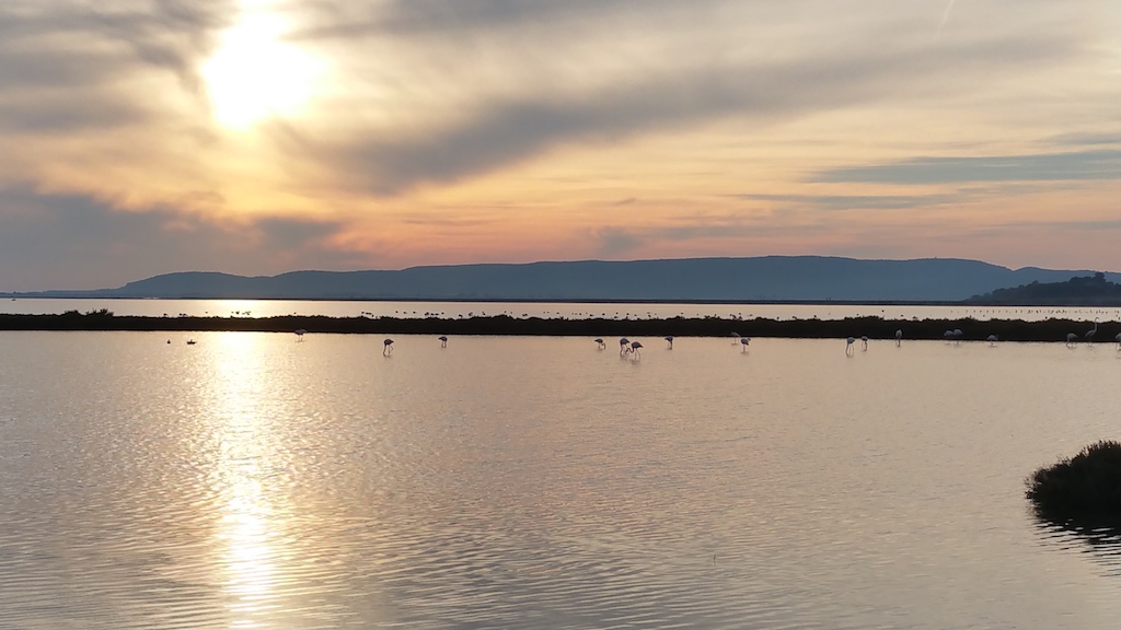 Etangs et ses flamants roses au coucher du soleil etang