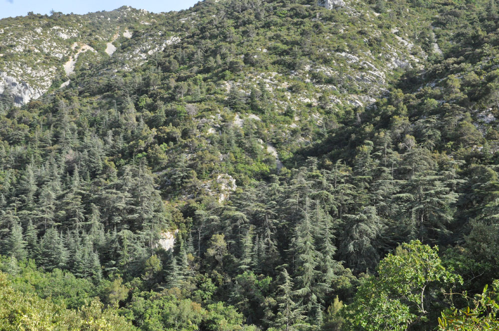 luberon