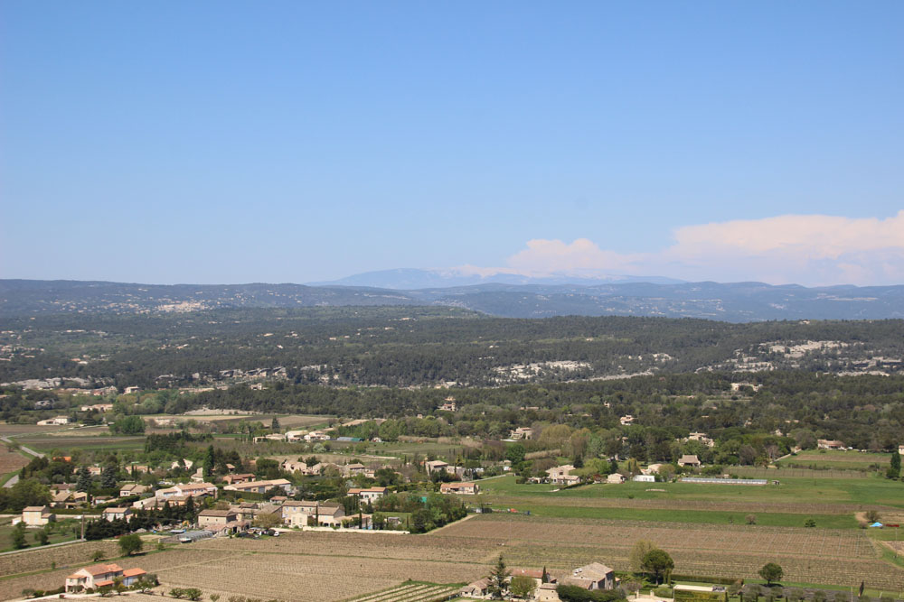 vue2