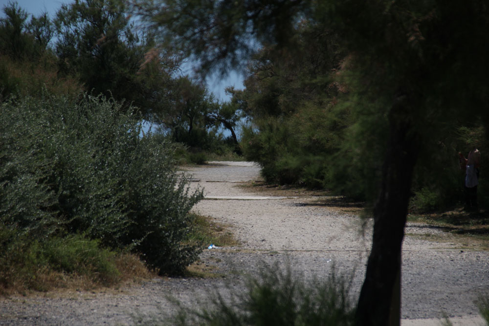 chemin