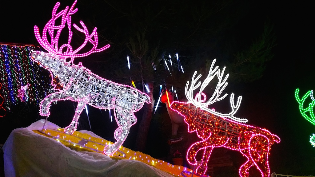 cerf