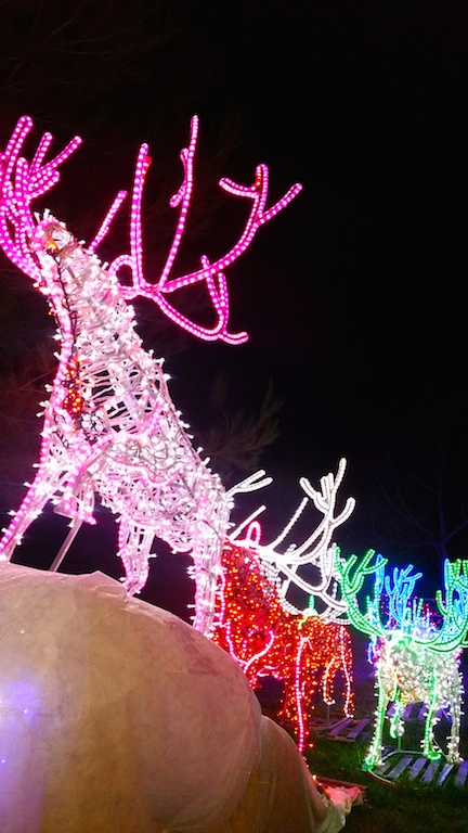 cerf2