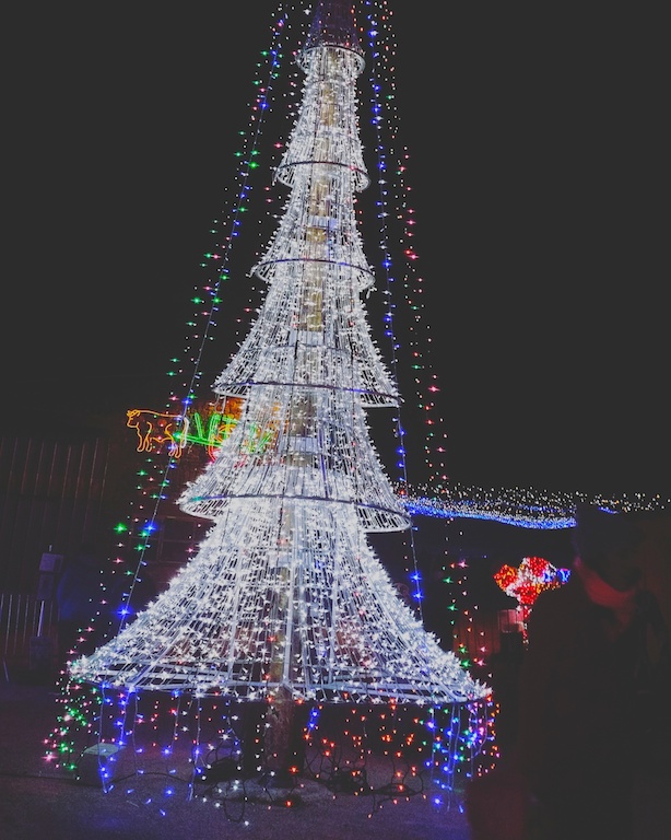sapin