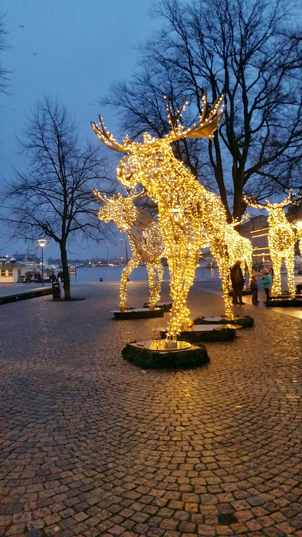 illumination4
