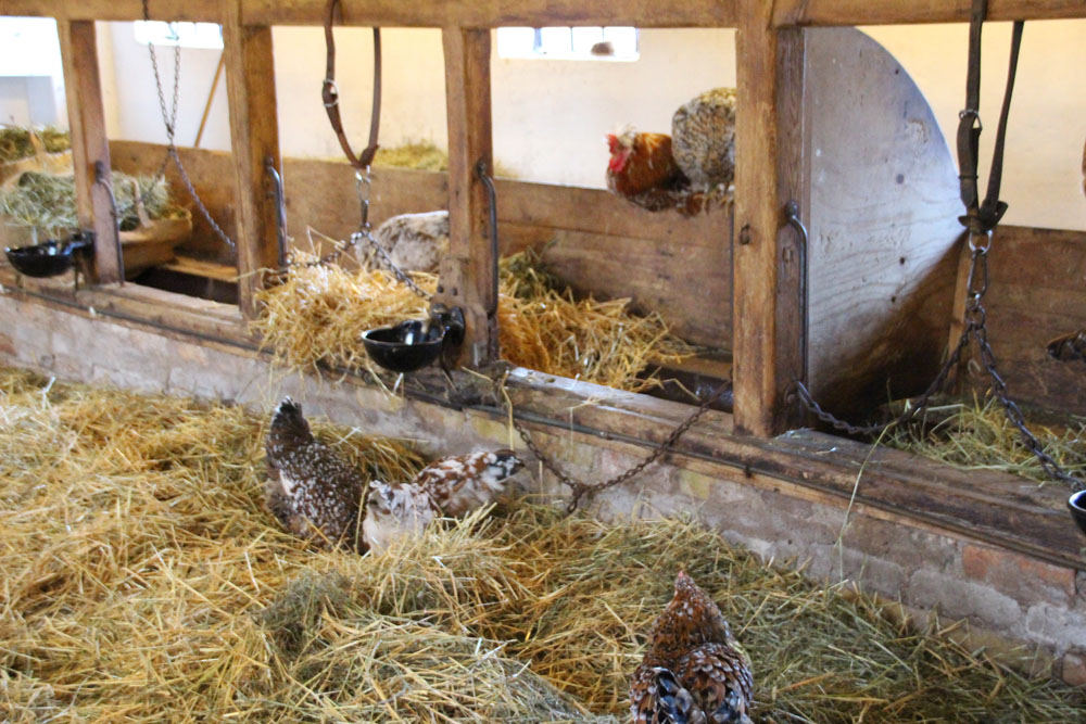 skansen8