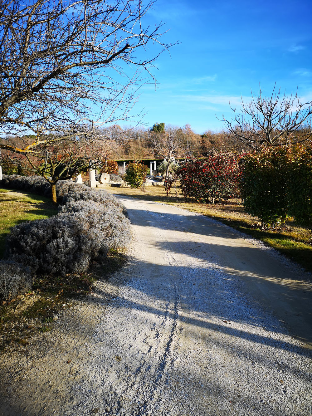 domaine4