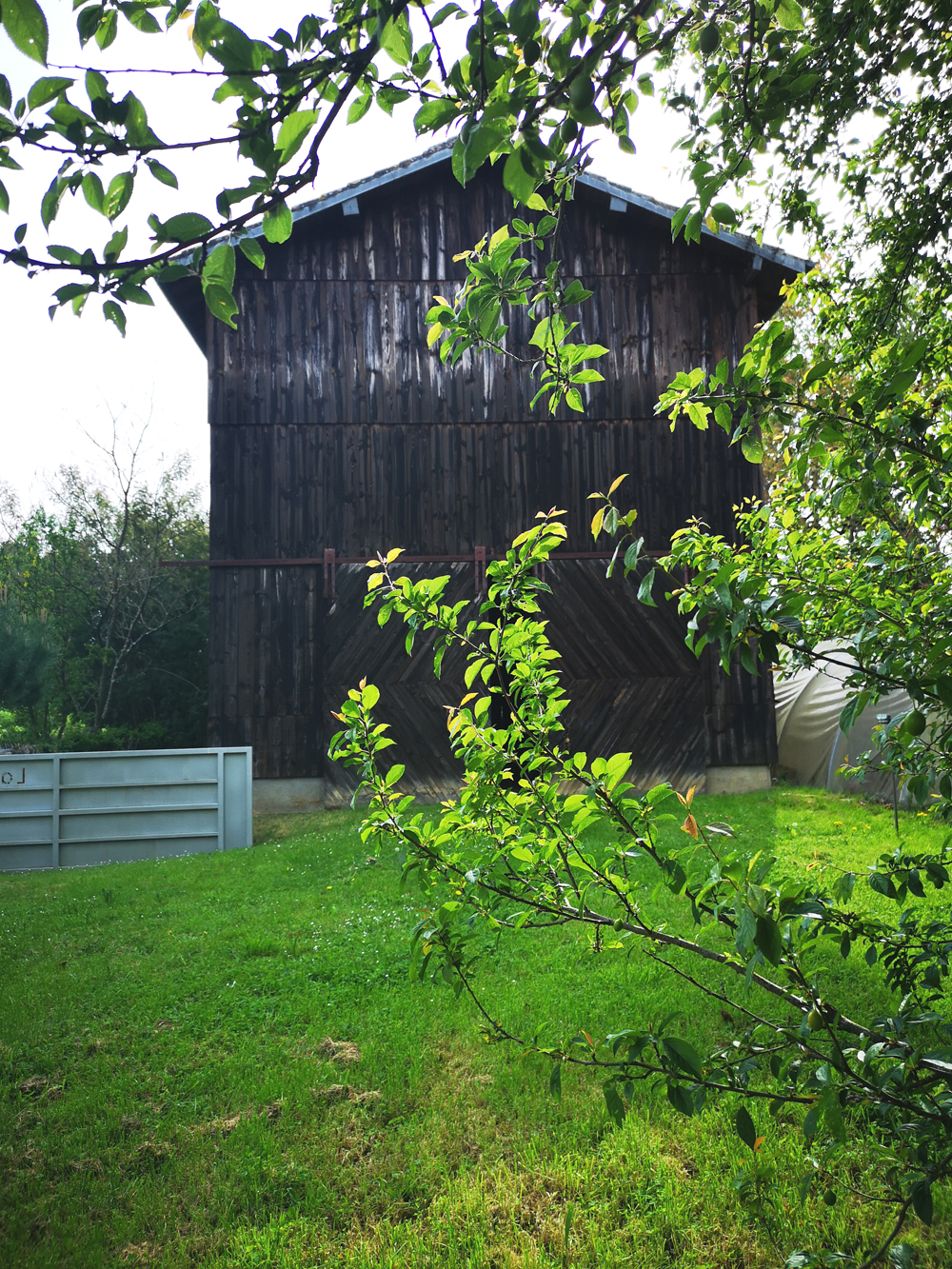 grange2