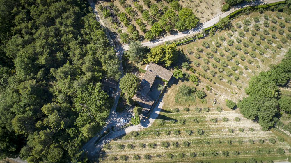 mas dessus drone