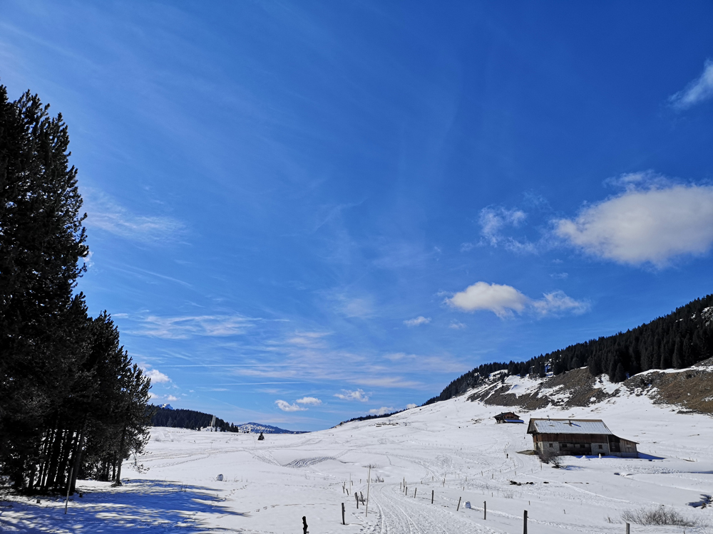 plateau arrivee