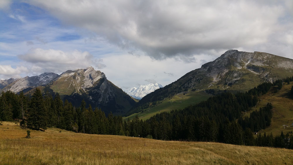 paysage