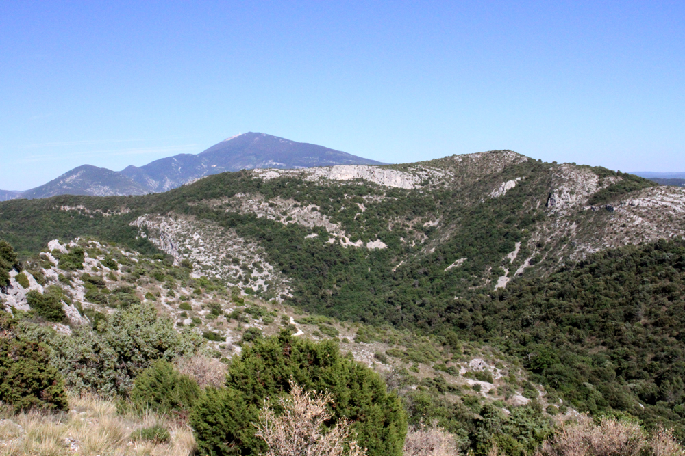 paysage