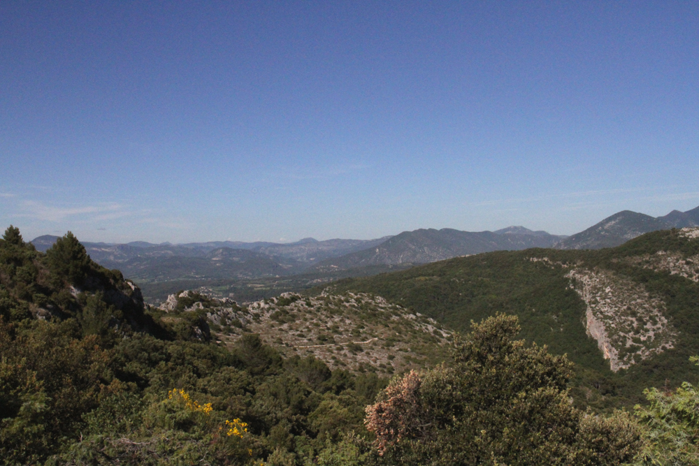paysage2