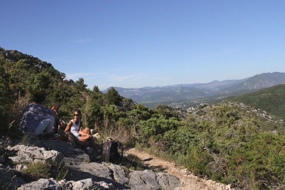 paysage3