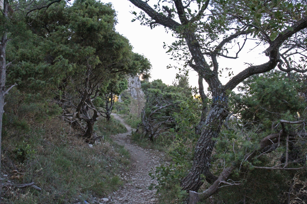 sentier