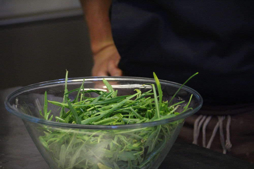 roquette