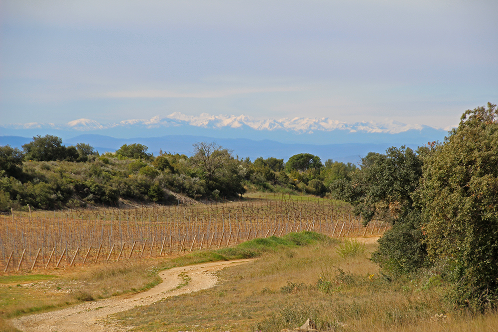 paysage pyrenees