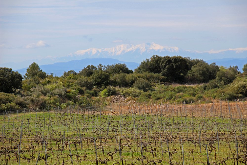 paysage pyrenees2