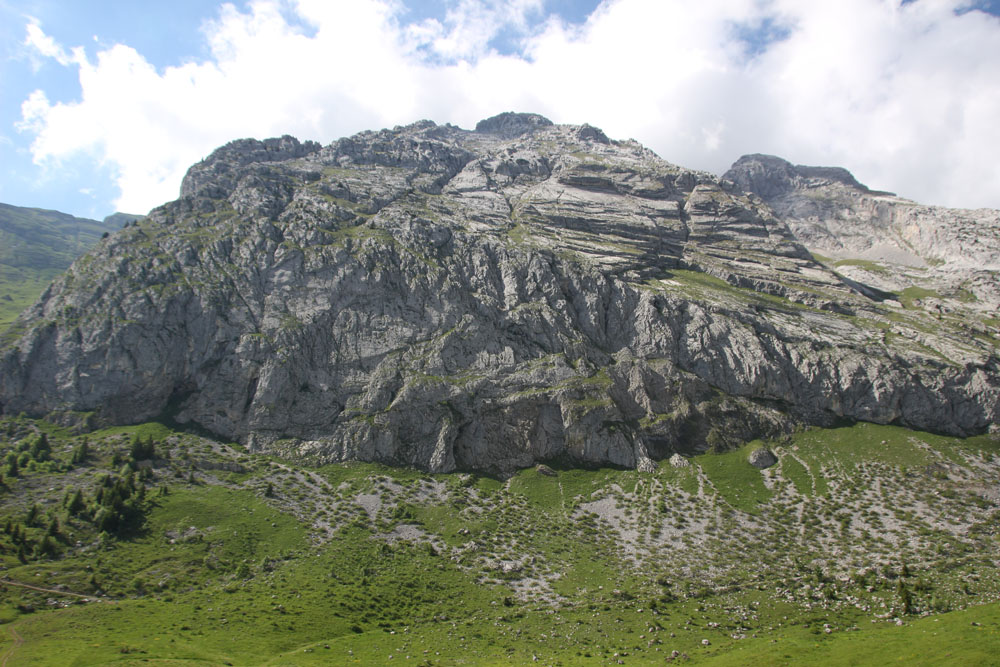 paysage ete