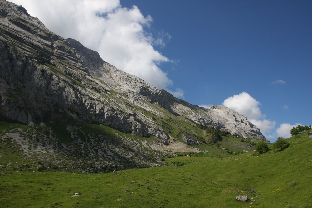 paysage ete2