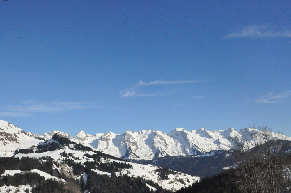 paysage hiver