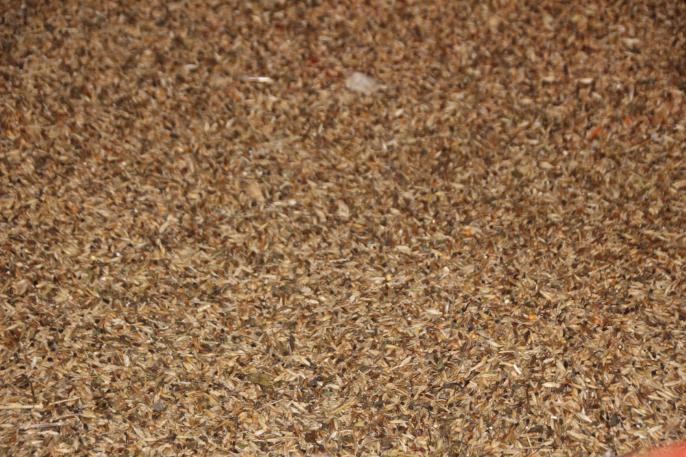 prepa grain2