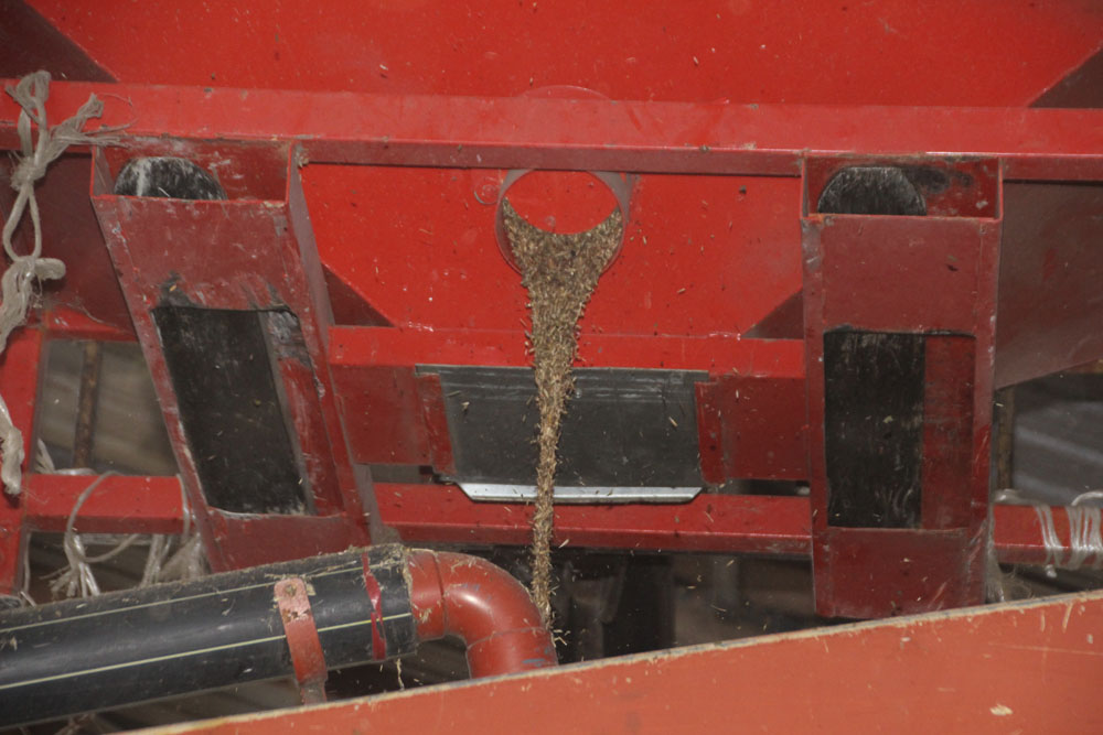 prepa grain5