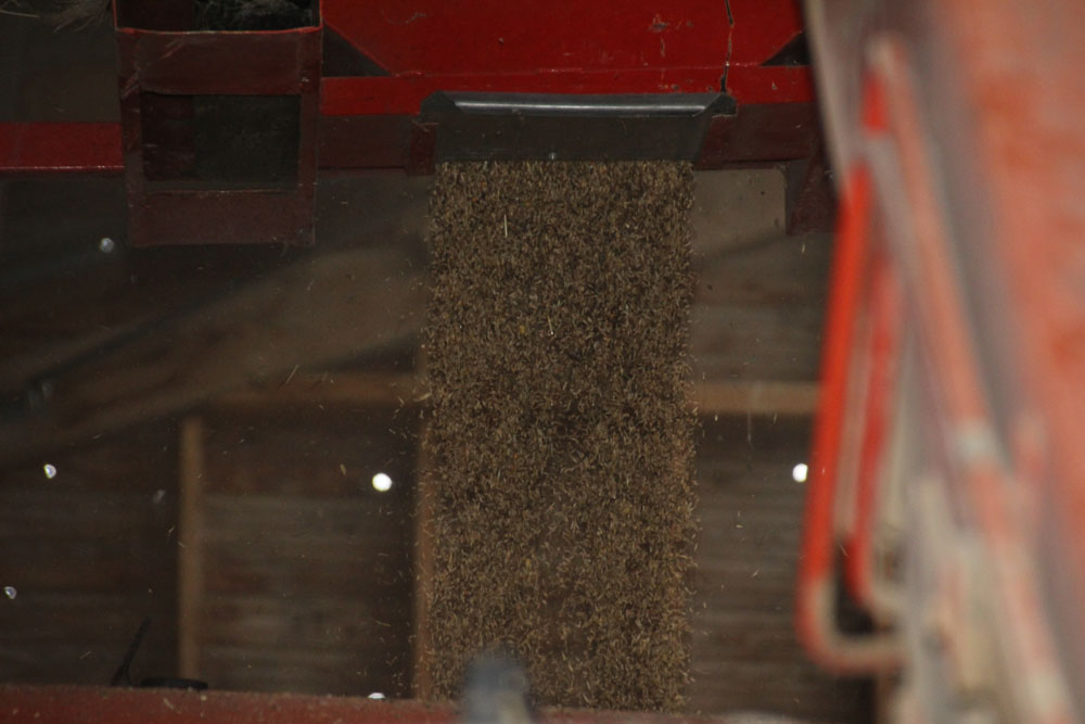 prepa grain6