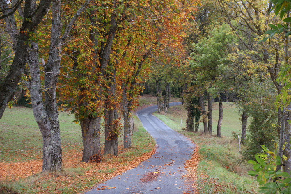 route automne