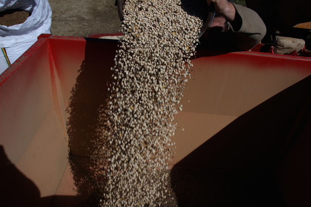 melange grain2