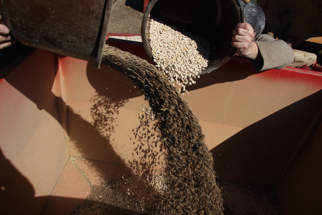 melange grain3