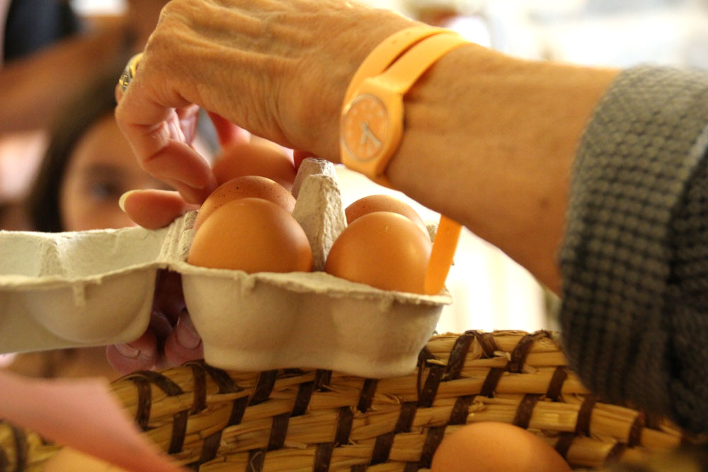 oeufs