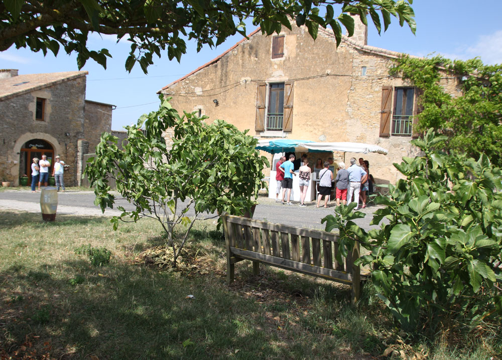 site2